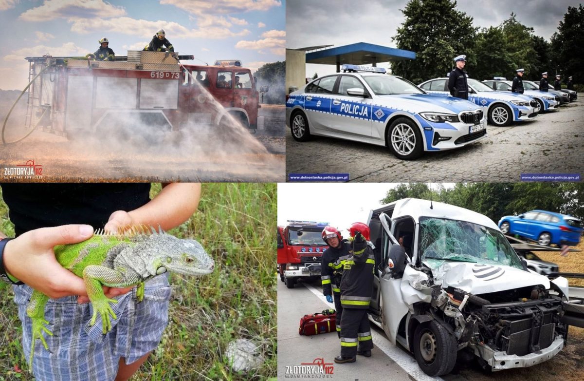 Flesz RF – przegląd wydarzeń z regionu