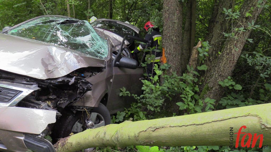 KIA uderzyła w drzewo. Dwie osoby w szpitalu (FOTO, WIDEO)