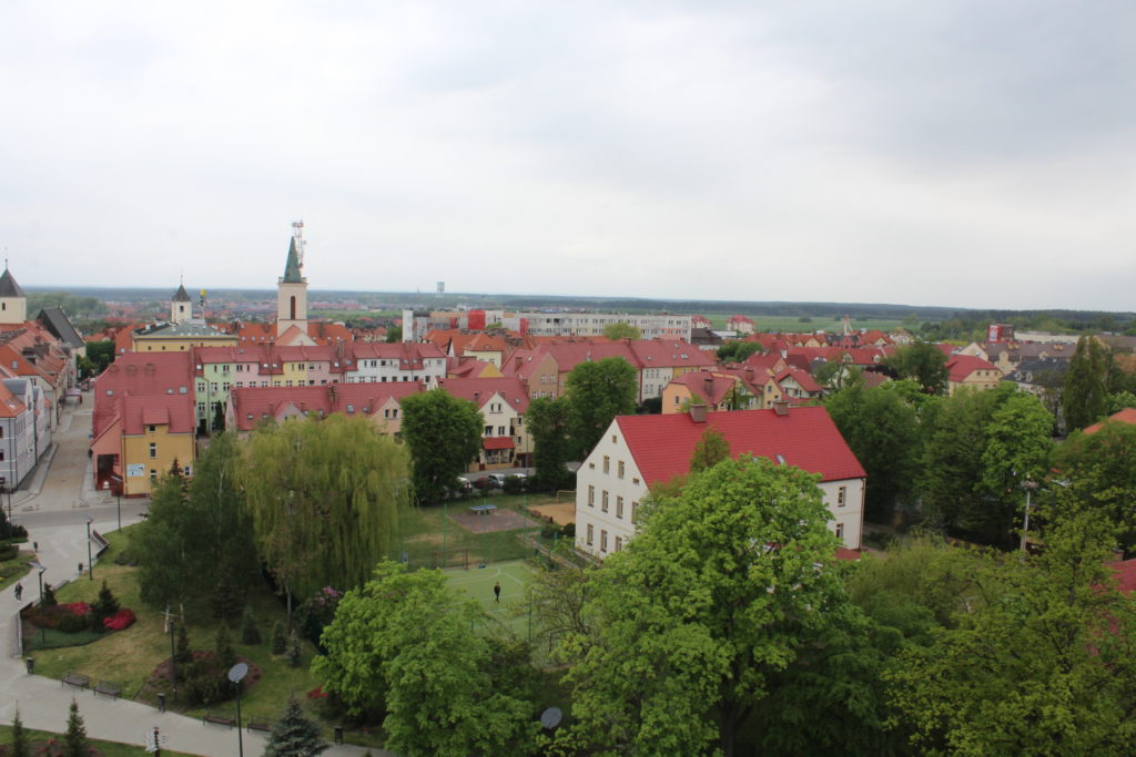 Mieszkańcy gminy Polkowice wybrali