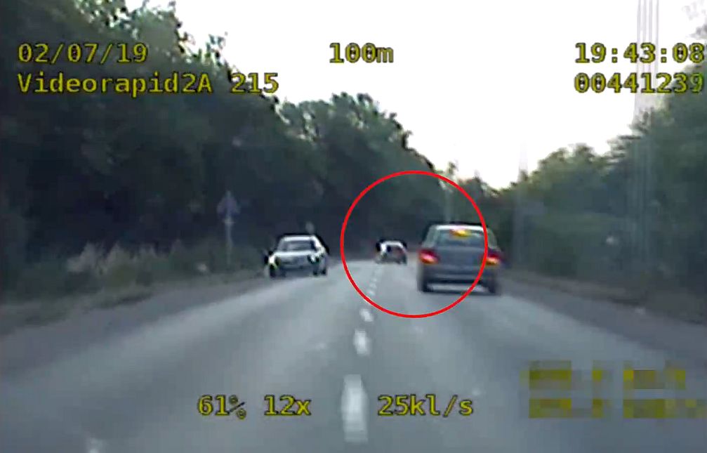 Pościg zakończył się na ogrodzeniu (WIDEO)