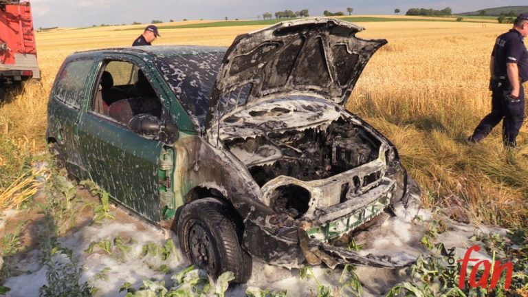 Płonące renault wśród zbóż (FOTO)