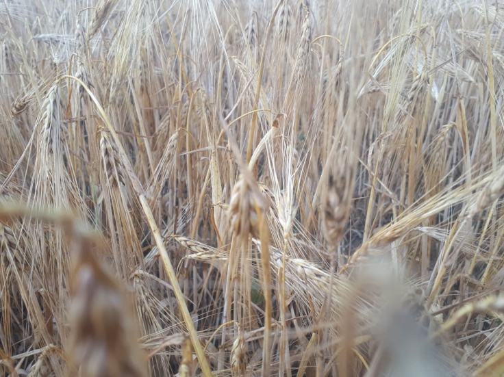 Gminna komisja oszacuje straty