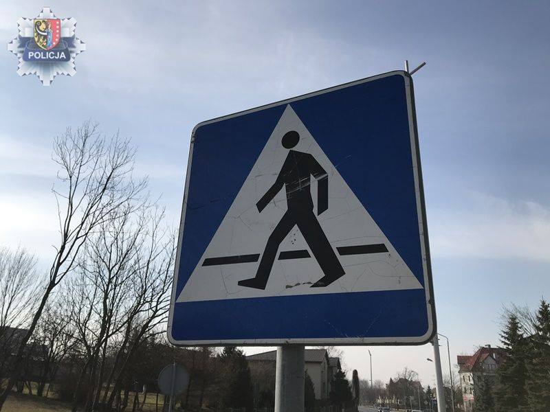 Policyjna akcja na drogach