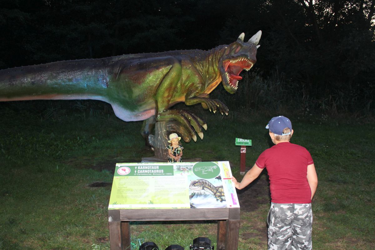 Dinozaury świecą w ciemnościach (FOTO, WIDEO)