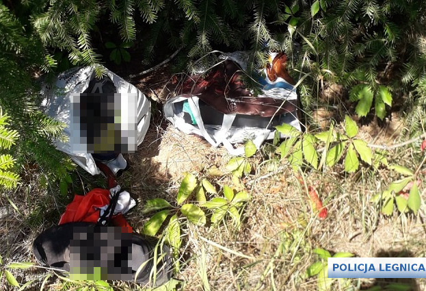 Łupy porzucili pod miastem