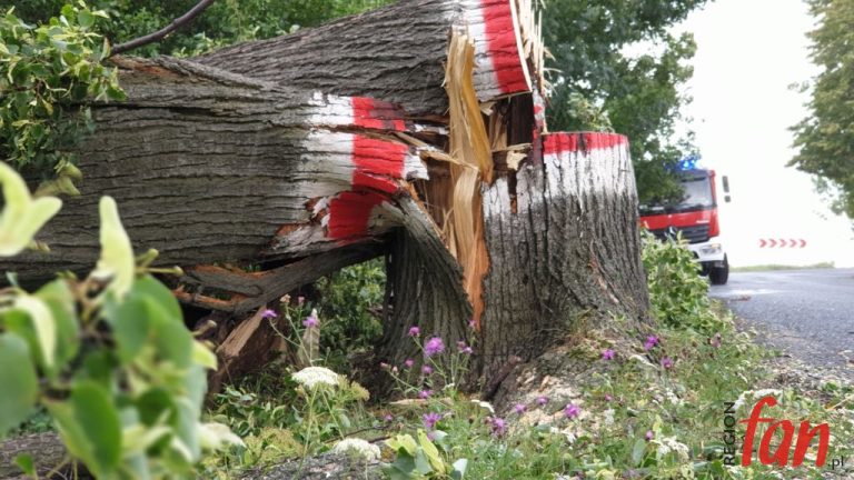 Strażacy w roli drogowców?