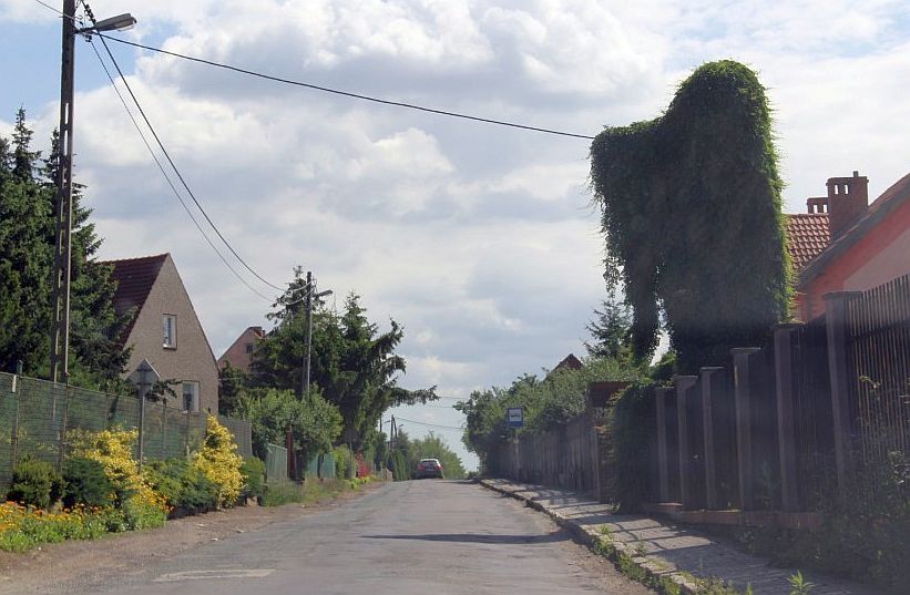 Jest wykonawca remontu Szczytnickiej