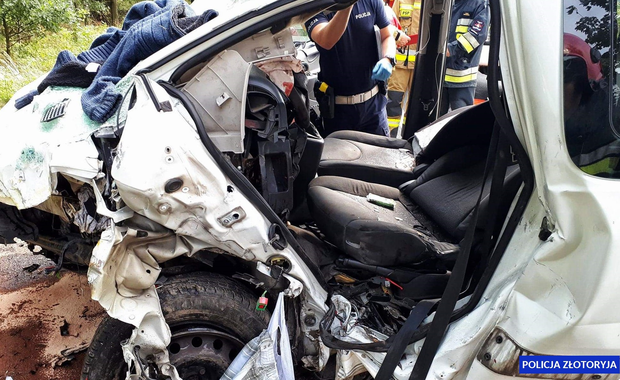 Bus uderzył w drzewo. Kierowca pod wpływem