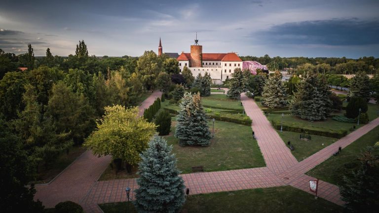 „Tulipanowa” akcja w Głogowie