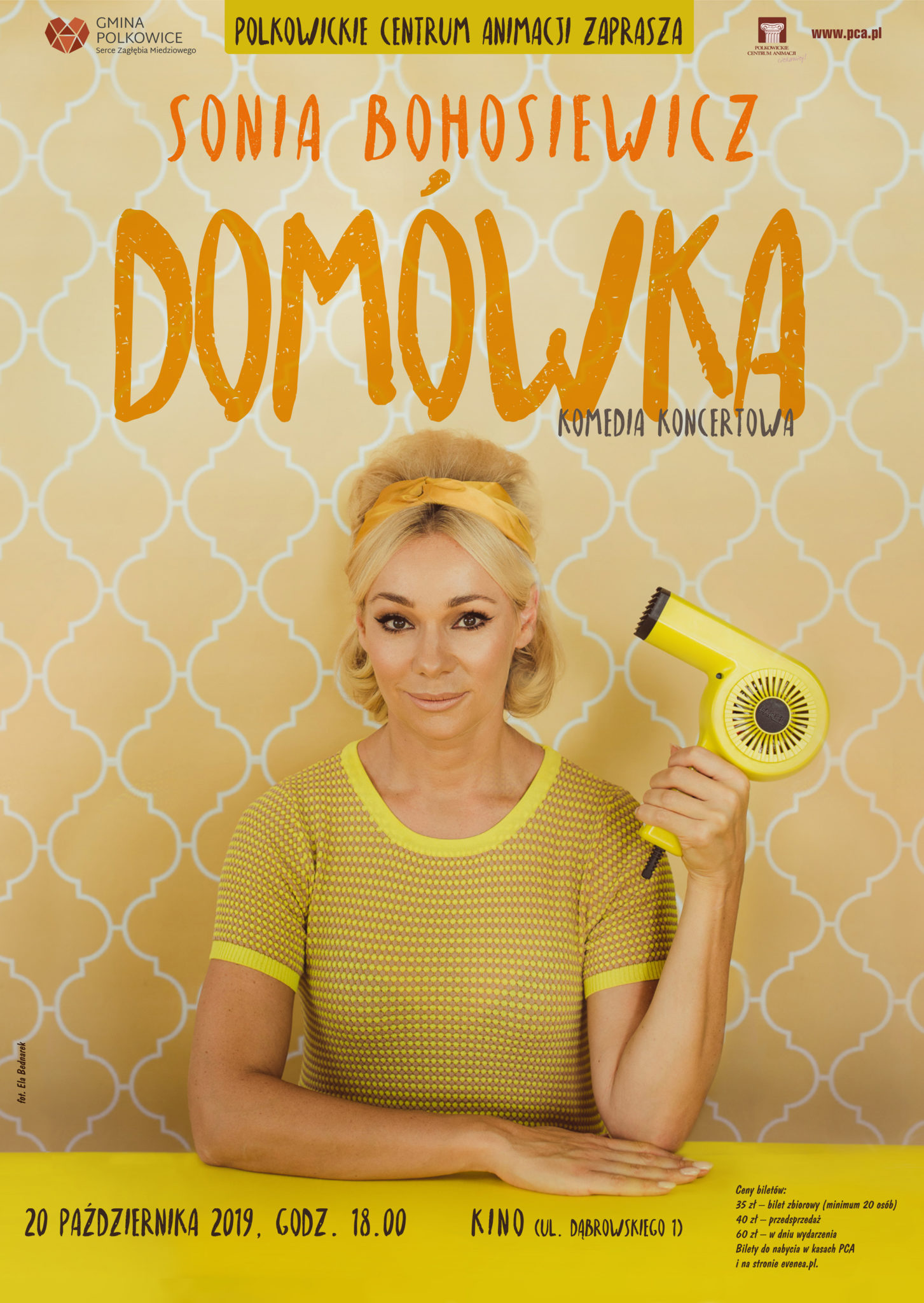 „Domówka” w Polkowicach