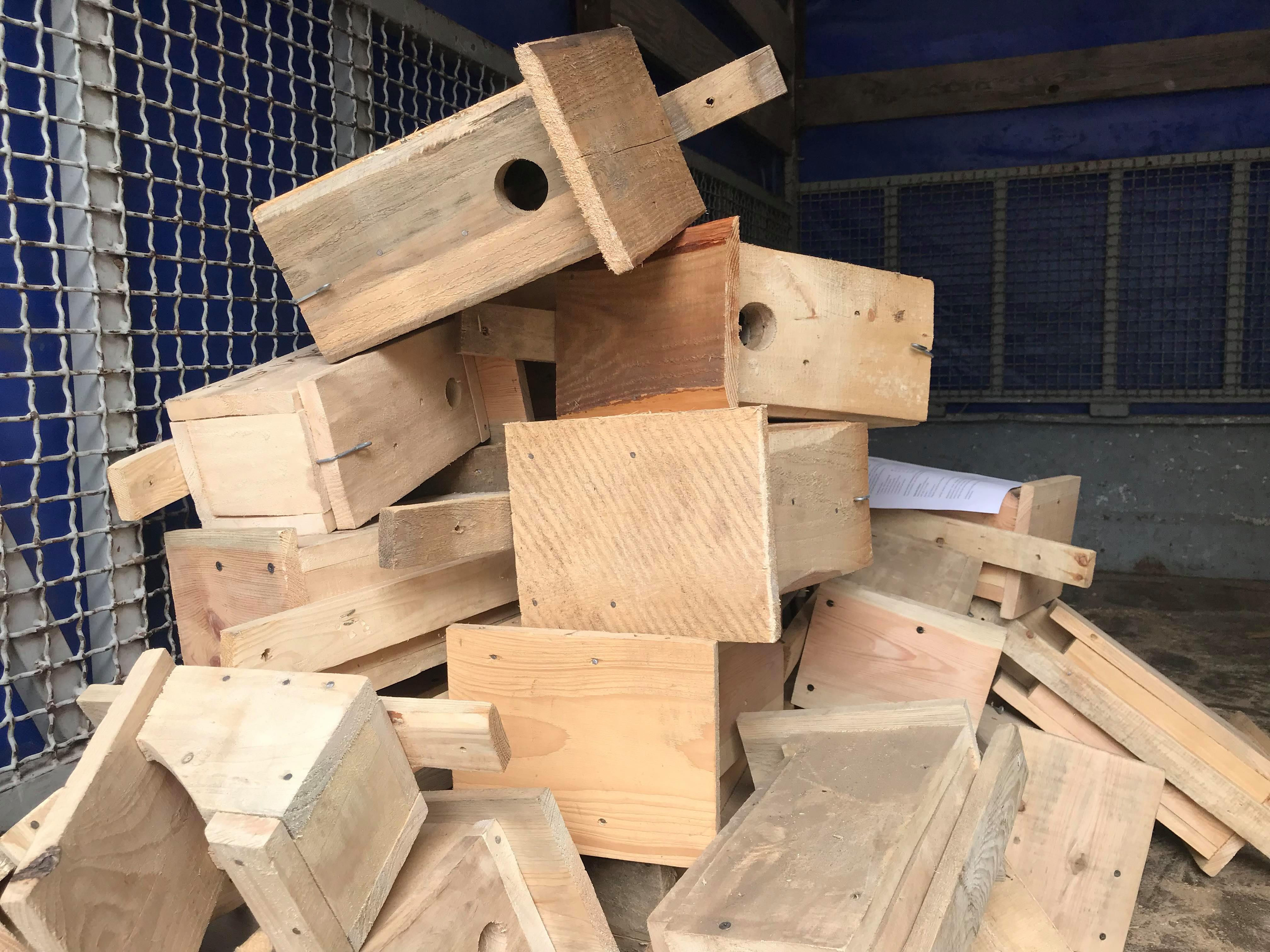 Polkowicki Dzień Drzewa już w piątek