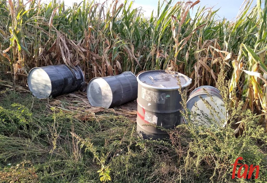 Alarm chemiczny na polu kukurydzy