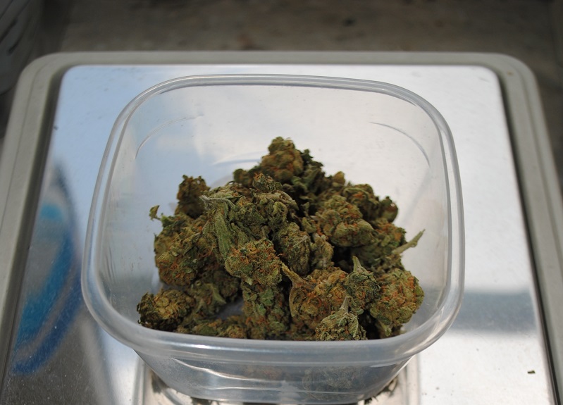 30-latka w areszcie. Trzymała narkotyki w mieszkaniu.