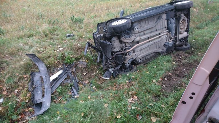 Kierowcy, uważajcie! To skutki zderzenia aut ze zwierzętami