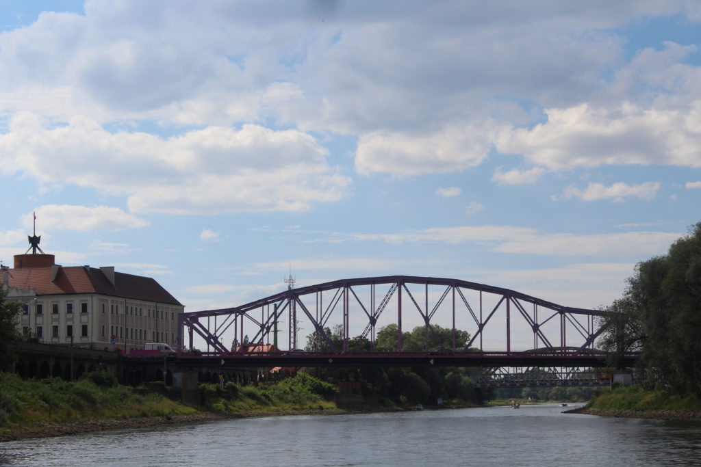 W Głogowie już „zbroją się” przeciwko komarom