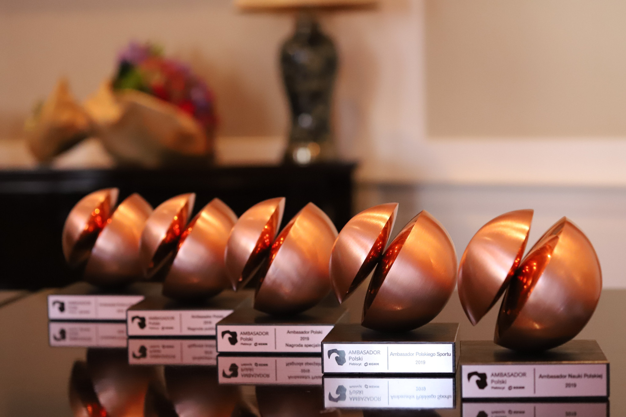 „Ambasadorzy Polski” wybrani