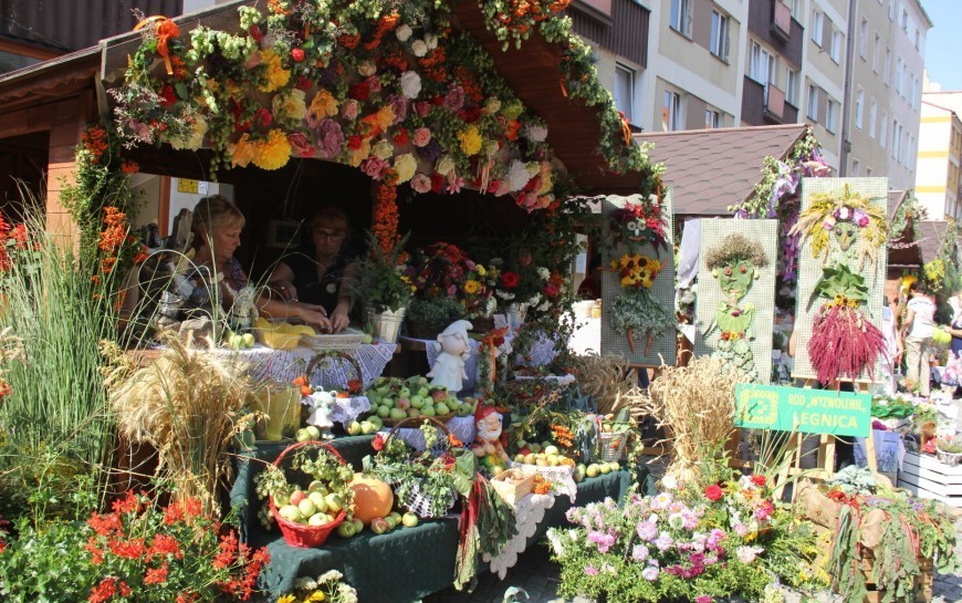 Ekolaur trafił nad Kaczawę