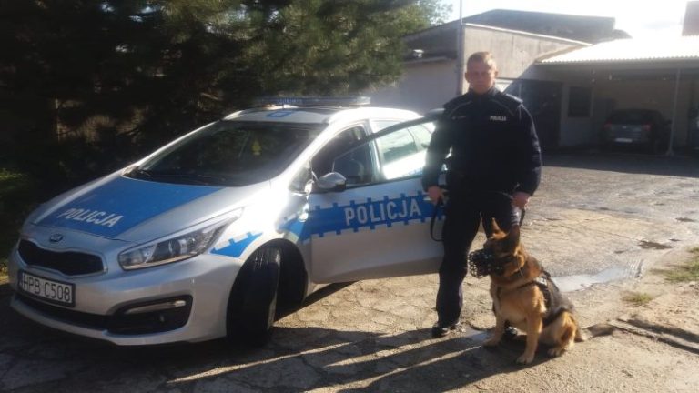 Poszukiwany miał pecha. W patrolu był „Cezar”