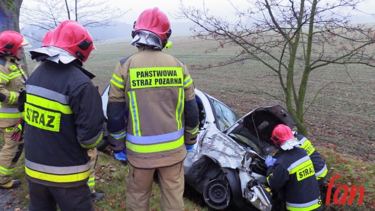 Chciał uniknąć zderzenia z sarną… (FOTO)