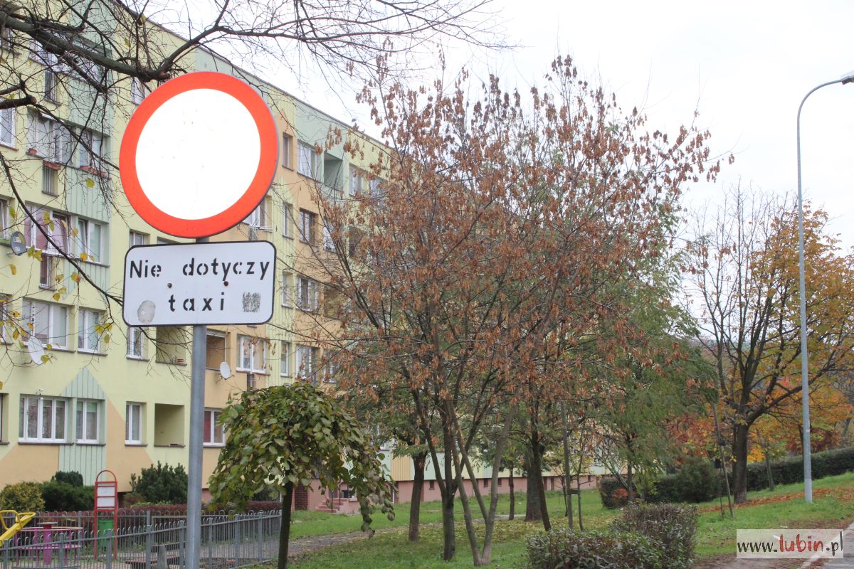 Mieszkańcy nie mogą wjechać na swoją ulicę. Żądają zmiany oznakowania