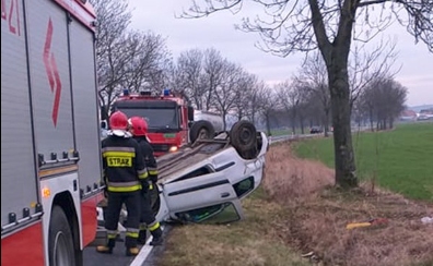 Podróż zakończyła się w rowie