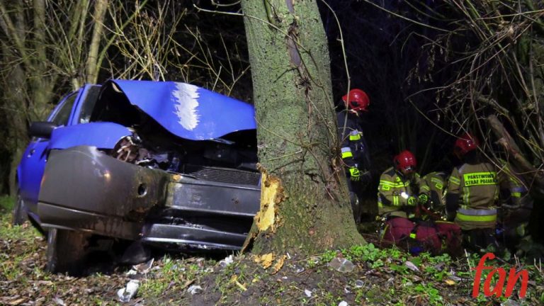 Kolizja fiesty w Snowidzy (FOTO, WIDEO)