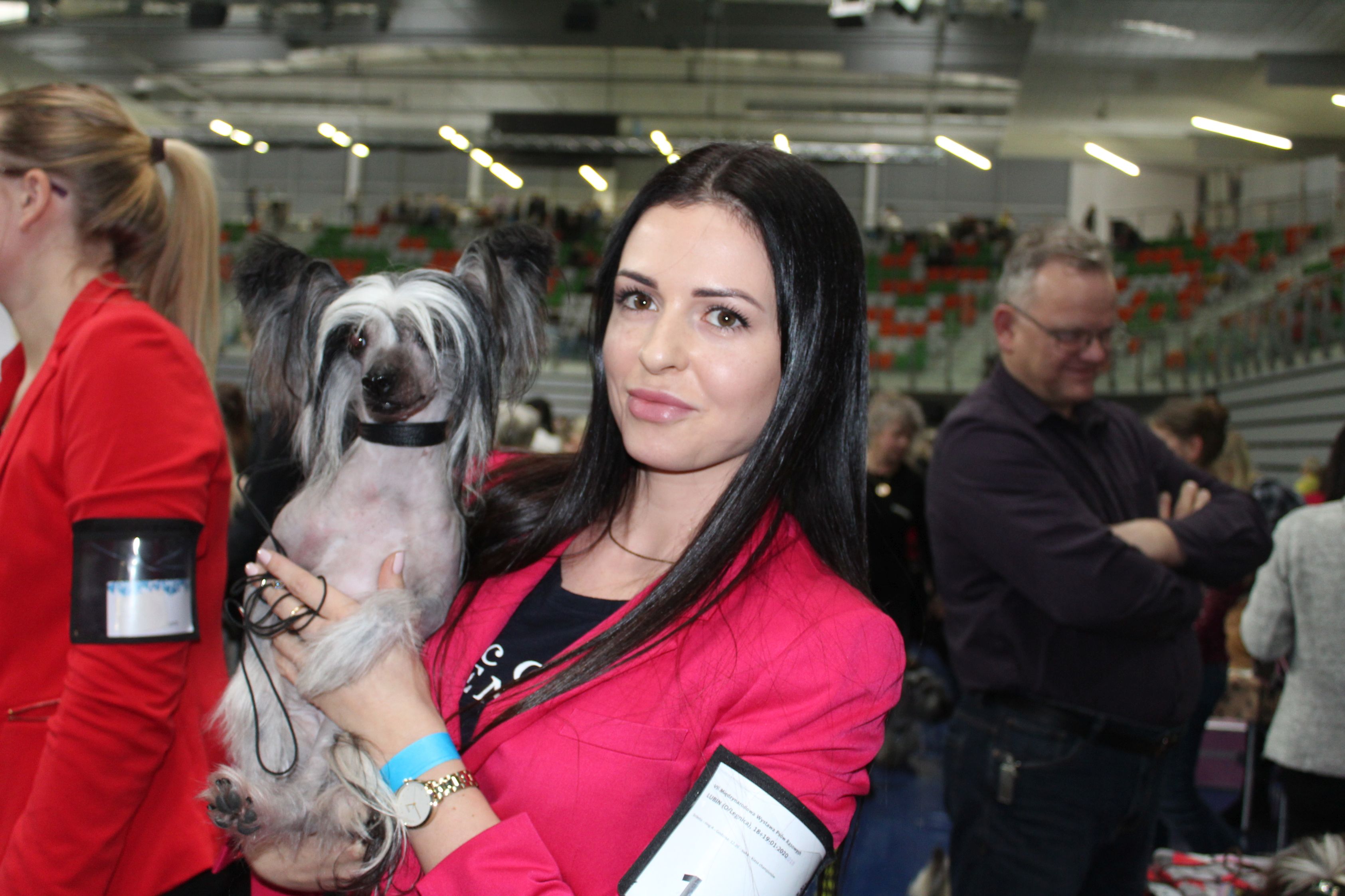 Najpiękniejsze psy świata w lubińskiej hali (FOTO, WIDEO)