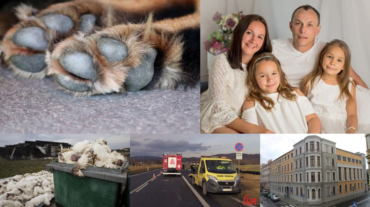 Flesz RF – przegląd wydarzeń z regionu