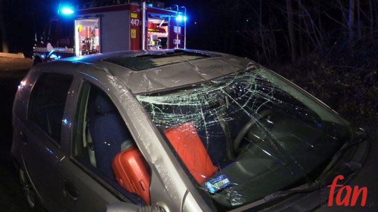 Dachowanie pod Bolkowem (FOTO, WIDEO)