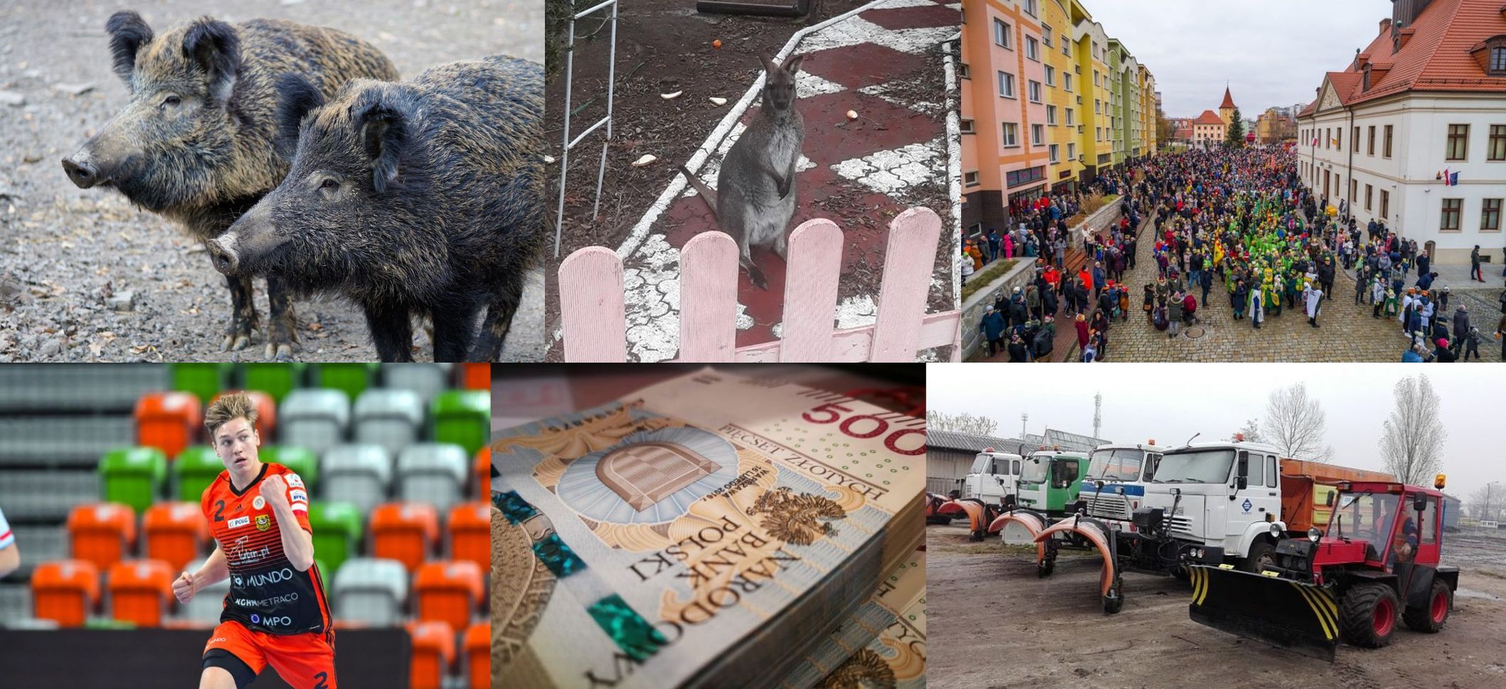 Flesz RF – przegląd wydarzeń z regionu