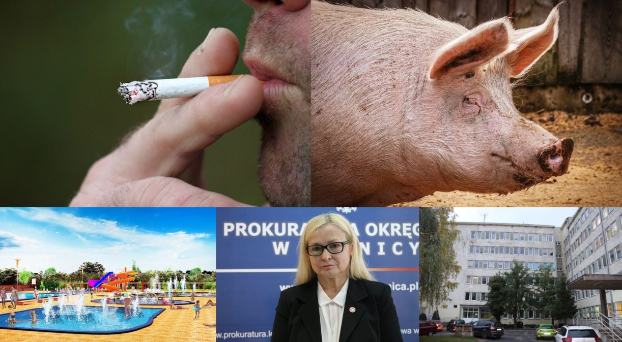 Flesz RF – przegląd wydarzeń z regionu
