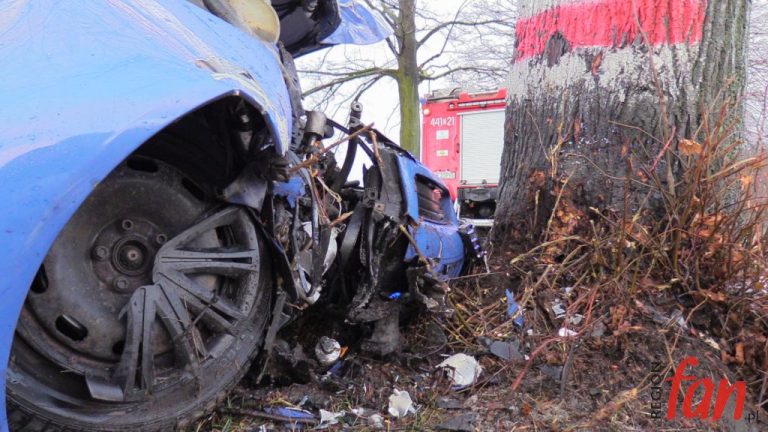 Audi uderzyło w drzewo. Poszkodowany w szpitalu (FOTO, WIDEO)