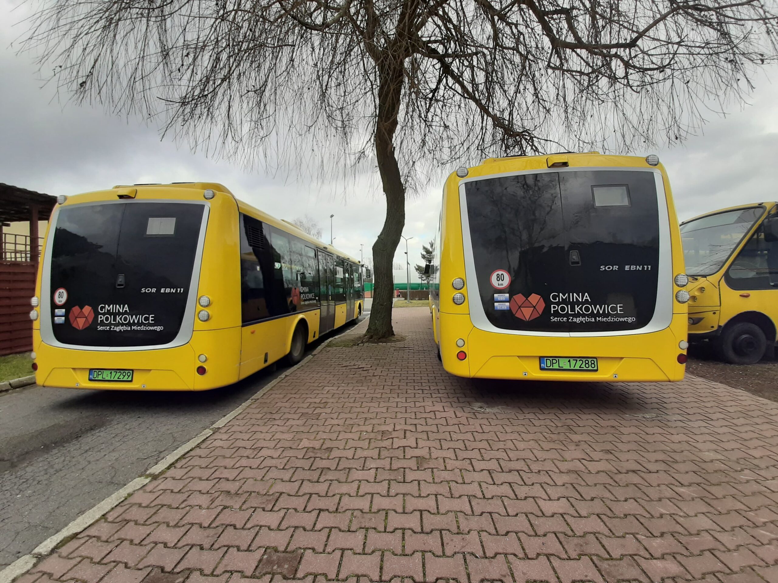 Jeżdżą na zielonych tablicach   