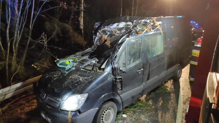 Zerwany dach hotelu, przygniecione auta i konary na drogach (FOTO, WIDEO)