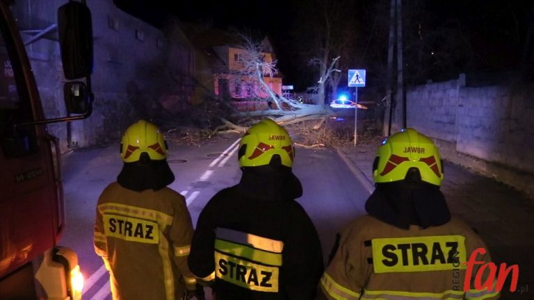 Drzewo runęło wprost na jezdnię! (FOTO, WIDEO)