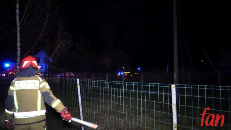 Wiatr znów przewraca drzewa! (FOTO, WIDEO)