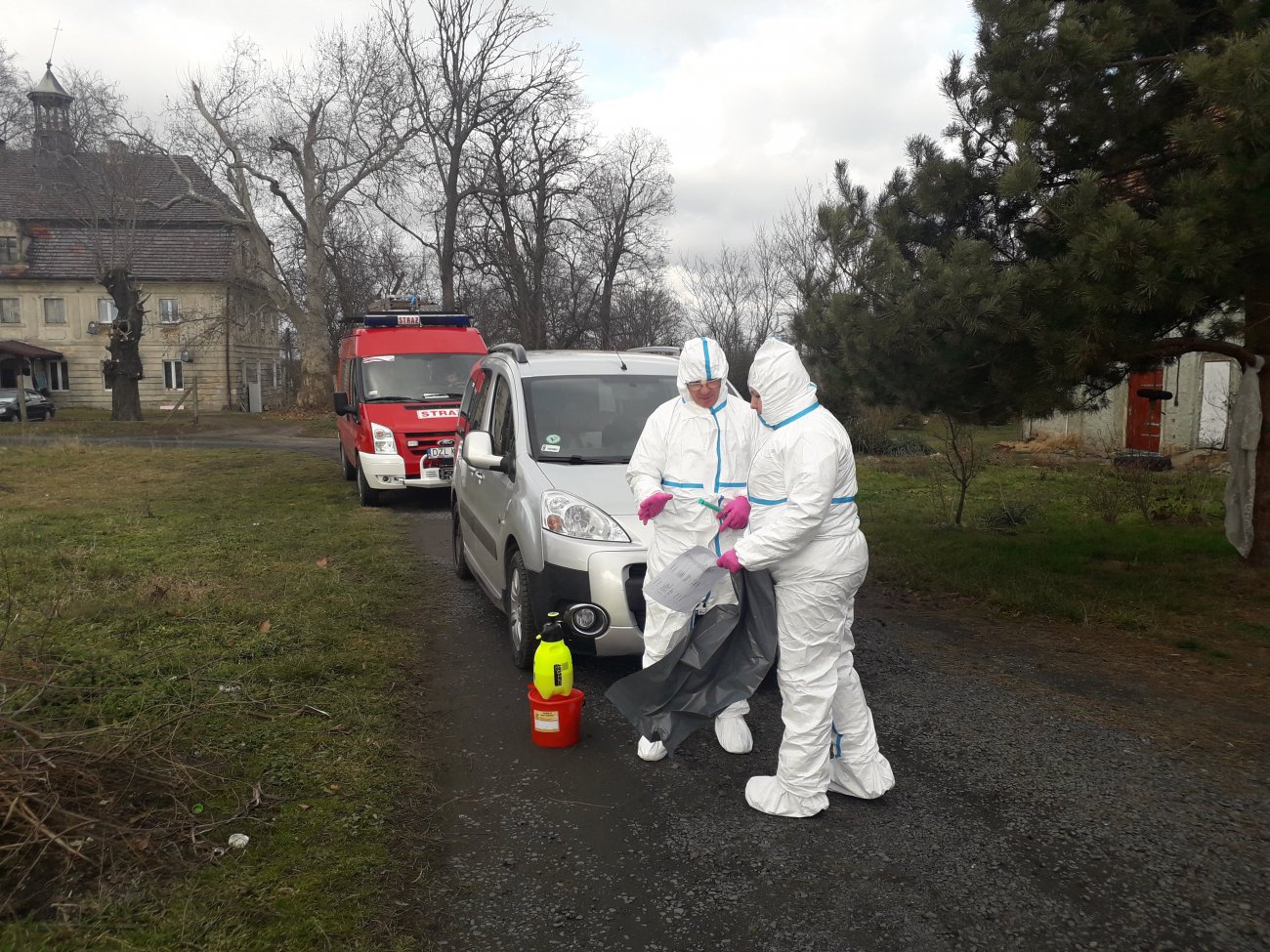 Co dalej z ptasią grypą?