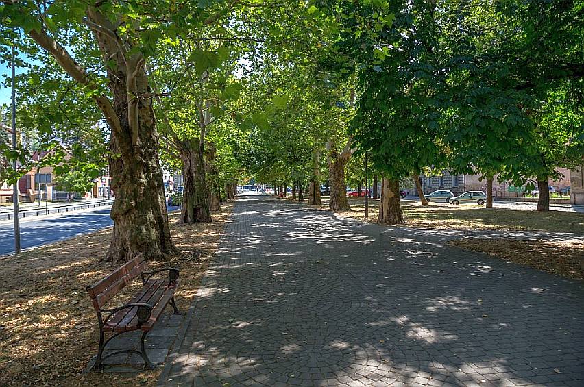 Legnica dba o swoje zabytki przyrody