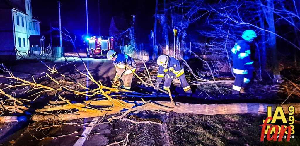 Sabina nieźle narozrabiała (FOTO, WIDEO)