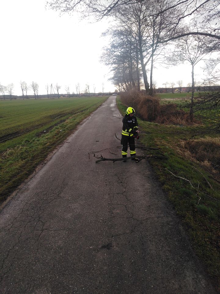 Gałęzie na drodze. Ktoś wezwał strażaków