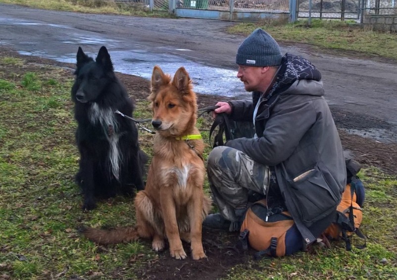 Przejechał 2 tys. km, by odzyskać Snoopiego