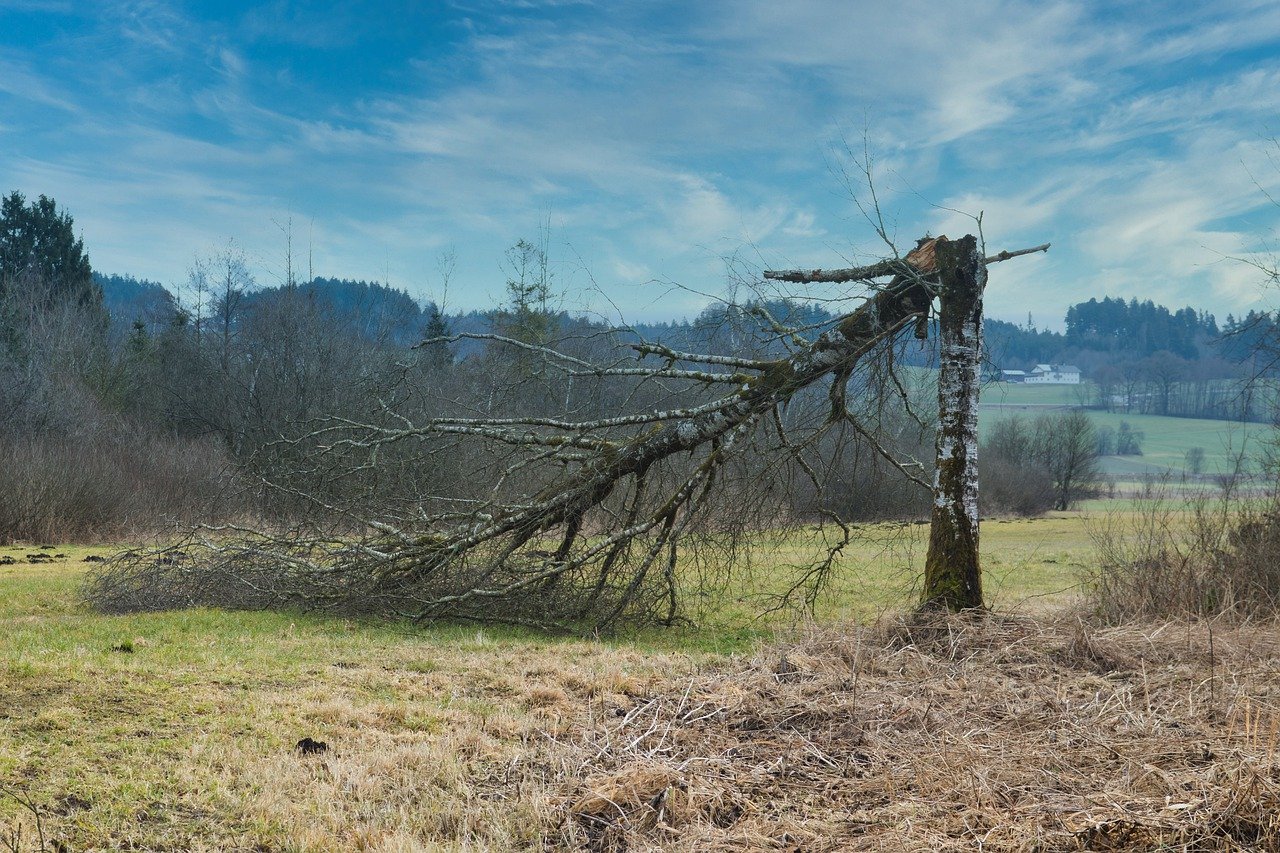 Pozrywane dachy, połamane drzewa i porywy do 100 km/h