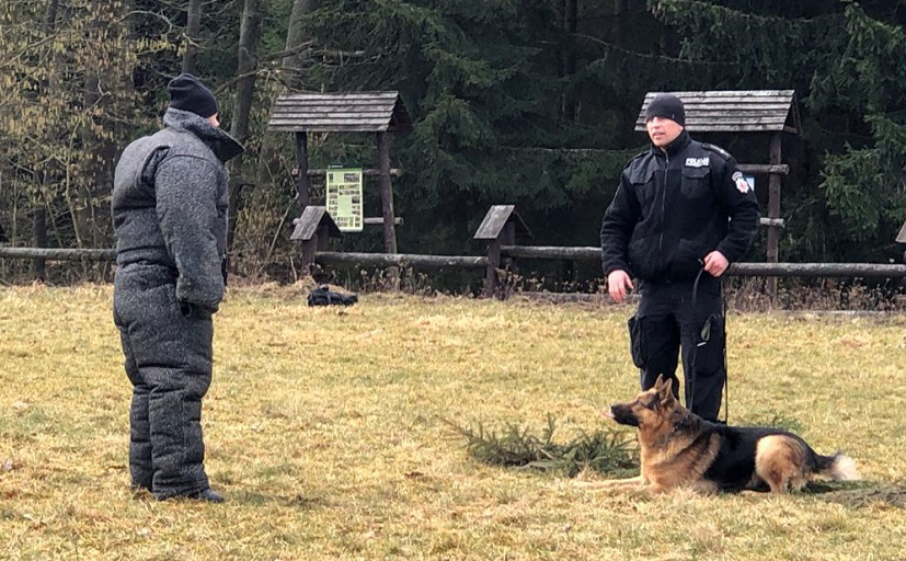 Czworonożni funkcjonariusze na ćwiczeniach