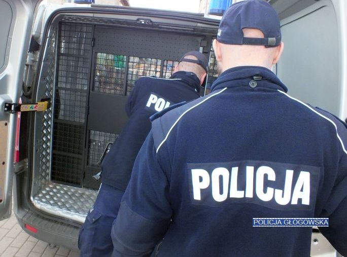 Okaleczył się i groził policjantom. Był już poszukiwany