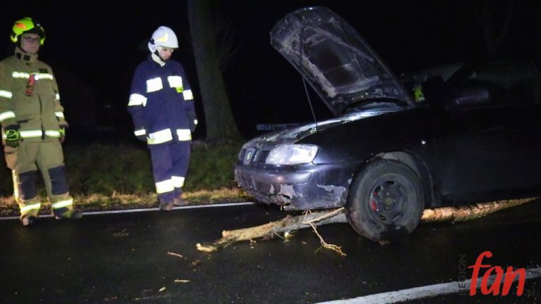 Znowu powiało – było groźnie! (FOTO, WIDEO)