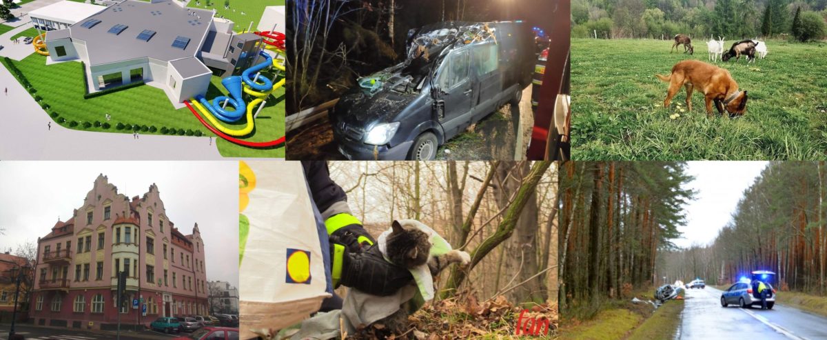 Flesz RF – przegląd wydarzeń z regionu