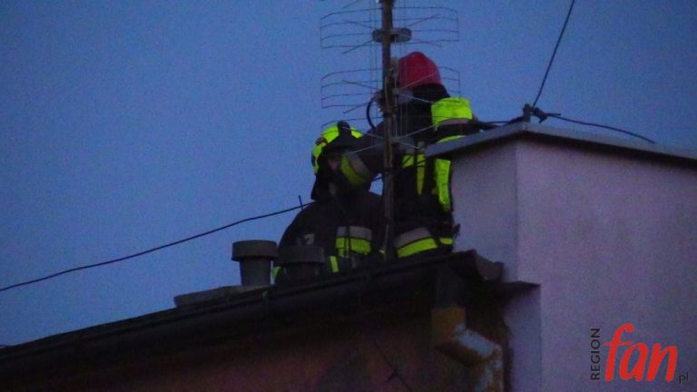 Gaszą i czyszczą kominy (FOTO, WIDEO)