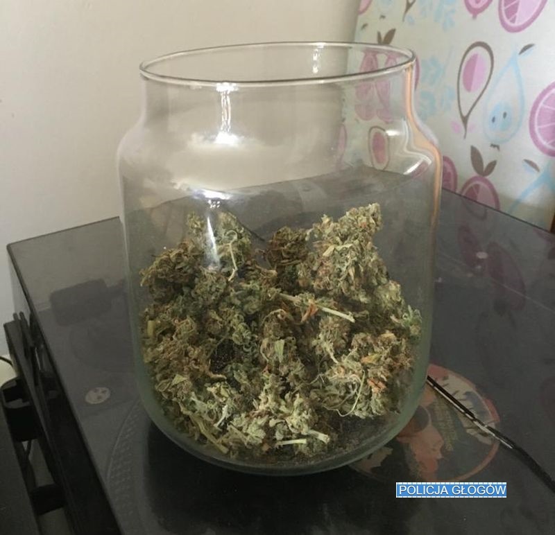 Miał ponad 600 porcji marihuany