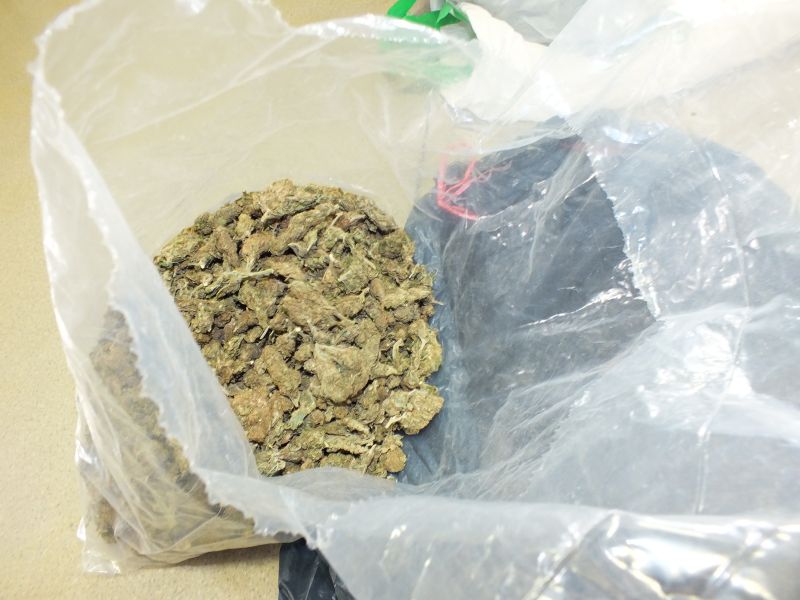 Hodowca marihuany poszukiwany