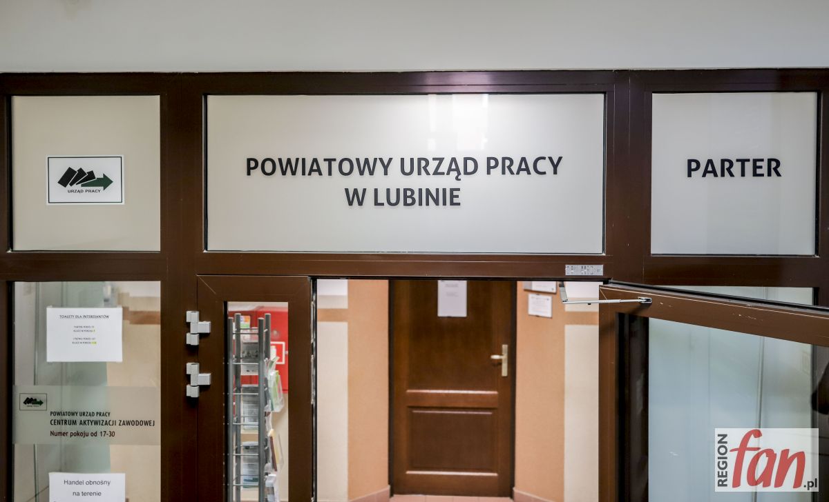 Oszukał urząd pracy, grozi mu osiem lat więzienia